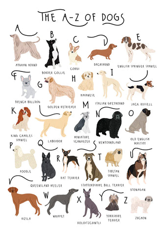 A-Z of Dogs Greetings Card