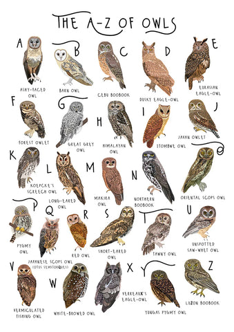 A-Z of Owls Greetings Card