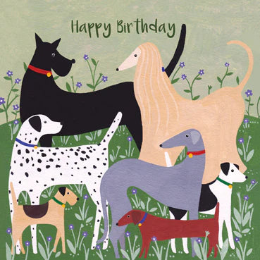 Happy Birthday Dogs Greetings Card
