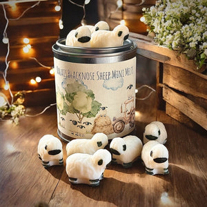 Valais Blacknose Sheep Wax Melt Tin