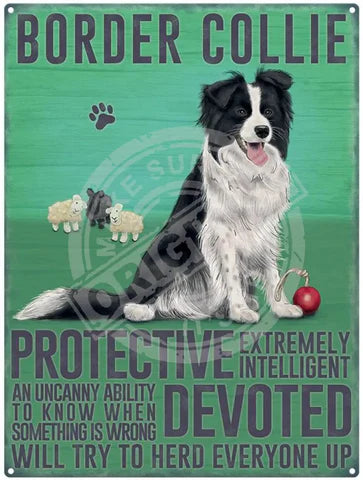 Border Collie Fridge Magnet